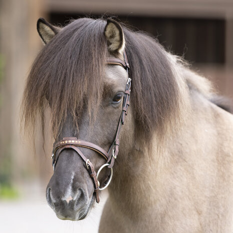 Losse Frontriem Aradis-Fleginn