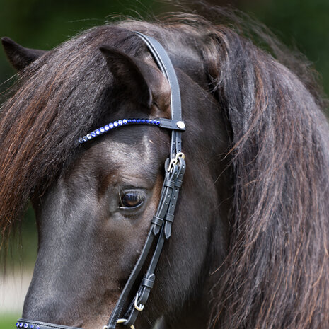 Losse Frontriem Delight