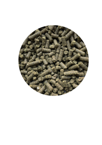 ATCOM BRONCHI-RAPID&reg; &ndash; Natuurlijke ondersteuning van de luchtwegen bij paarden
