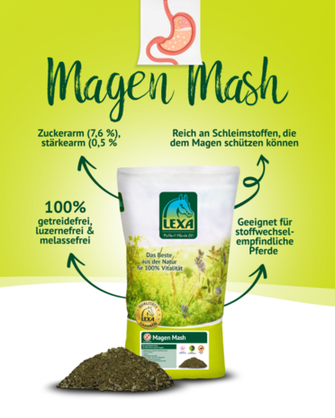 Magen Mash van LEXA &ndash; graanvrije mash voor paarden met een gevoelige maag