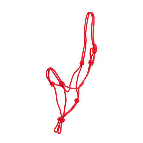Pool&rsquo;s Basic touwhalster