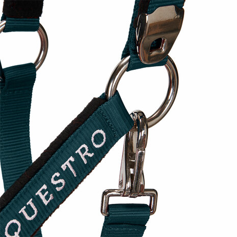 Equestro halsterset met satijnkleurige gespen