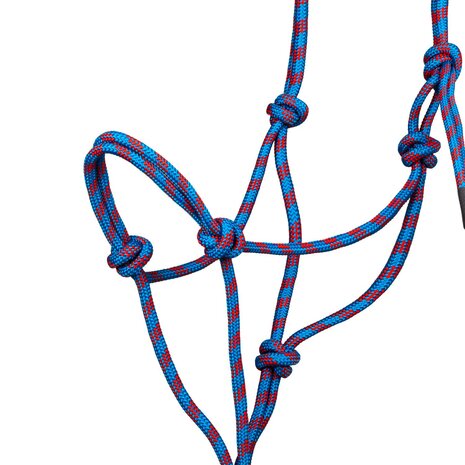 Pool&#039;s touwhalsterset met leadrope Basic