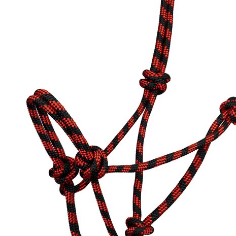 Pool&#039;s touwhalsterset met leadrope Basic
