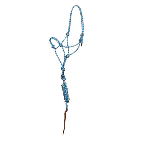 Pool&#039;s touwhalsterset met leadrope Basic