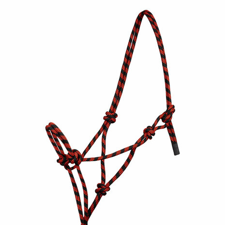 Pool&#039;s touwhalsterset met leadrope Basic