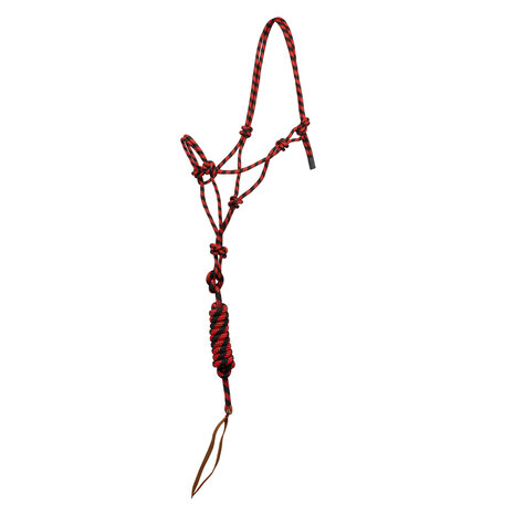 Pool&#039;s touwhalsterset met leadrope Basic