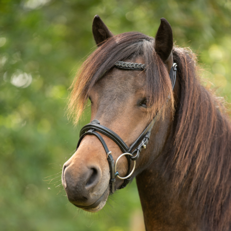 Tolt Saga Mix &#039;n Match Black Diamond Kopstuk