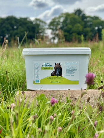 Green Valley Egusin 250 stabilisatie - Maag