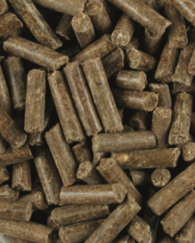 Lexa Digest &ndash; ondersteuning van de darmbalans en spijsvertering bij paarden