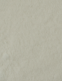 LEXA Glucosamine &ndash; pure ondersteuning voor het bewegingsapparaat van paarden