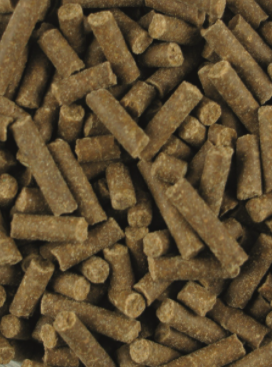 Lexa High-Performance &ndash; Energieconcentraat voor sportpaarden