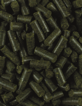 Lexa MuscAlgen &ndash; Plantaardig aanvullend diervoeder met microalgen