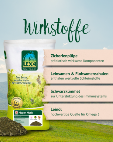 LEXA Magen Mash 10 KG &ndash; graanvrije mash ter ondersteuning van de spijsvertering bij paarden