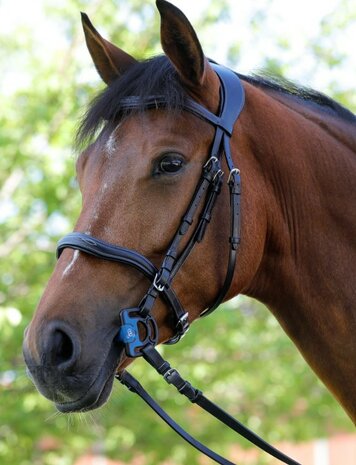 Acavallo Sensitive Bit &ndash; Nauwkeurige communicatie met maximaal comfort