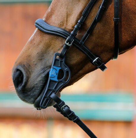 Acavallo Mullen Ported Pelham Sensitive Bit