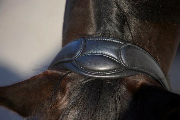 Kieffer Ultrasoft&reg; Deluxe halster