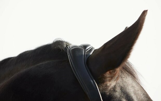 Kieffer Ultrasoft&reg; Deluxe halster