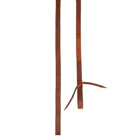 Pool&rsquo;s Harness Reins