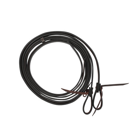 Pool&rsquo;s Harness Reins