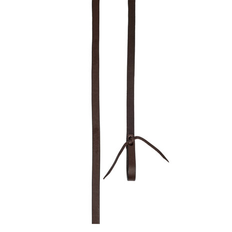 Pool&rsquo;s Harness Reins