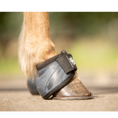 T&ouml;lt Saga Bell Boots &ndash; betrouwbare bescherming voor de hoeven met gewicht