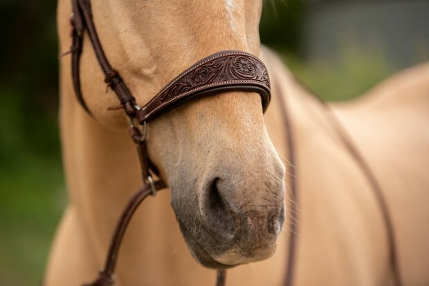 Bitloos Kingekruist Hoofdstel Kifra Ziva &ndash; Gebruikt