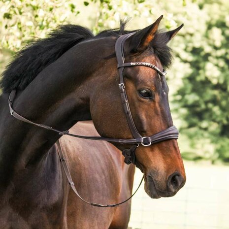 Kavalkade Bitloos Sidepull Hoofdstel &ldquo;Light&rdquo; &ndash; Comfortabel Geolied Leer met Strass