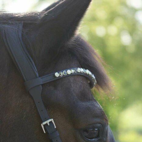 Kavalkade Bitloos Sidepull Hoofdstel &ldquo;Light&rdquo; &ndash; Comfortabel Geolied Leer met Strass