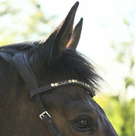 Kavalkade Bitloos Sidepull Hoofdstel &ldquo;Light&rdquo; &ndash; Comfortabel Geolied Leer met Strass