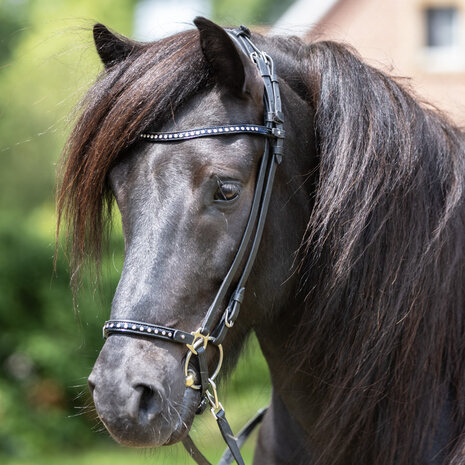 Hoofdstel Glansandi compleet &ndash; maat Cob &ndash; laatste stuks