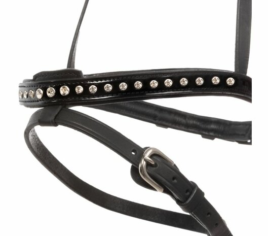 Kjartan hoge neusriem Glansandi &ndash; maat Cob, laatste stuks