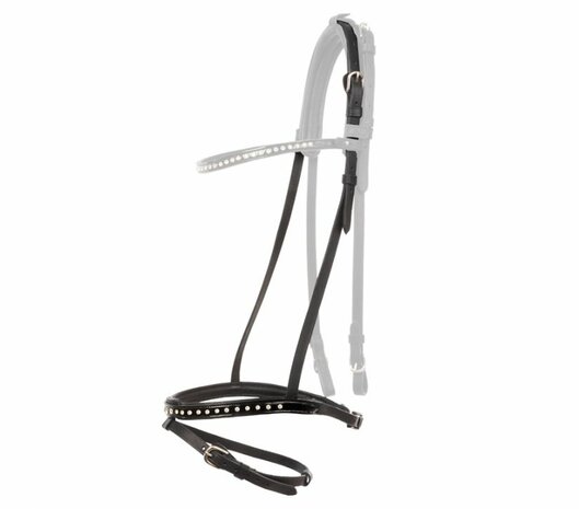 Kjartan hoge neusriem Glansandi &ndash; maat Cob, laatste stuks