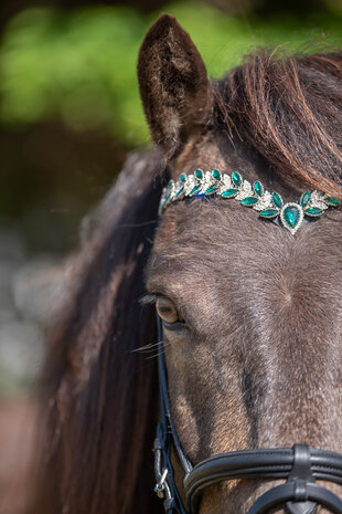 Tolt Saga Hoofdstel Smaragda