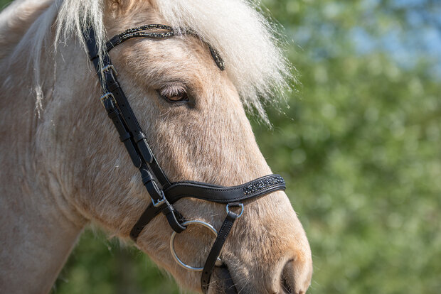Tolt Saga Hoofdstel Anatomisch Svartad&iacute;s
