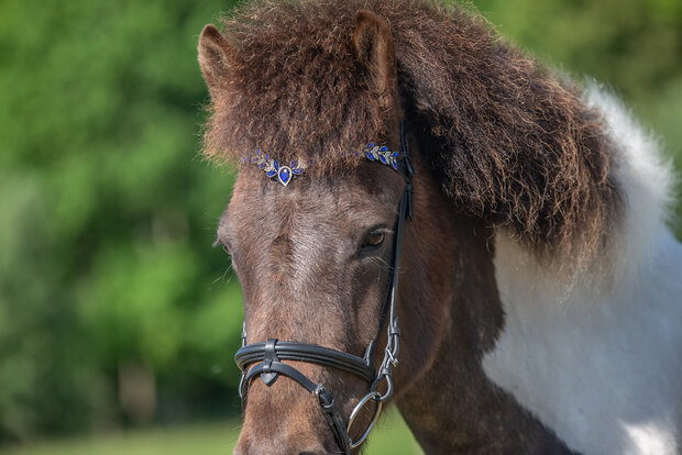 Tolt Saga Hoofdstel Bl&aacute;ma