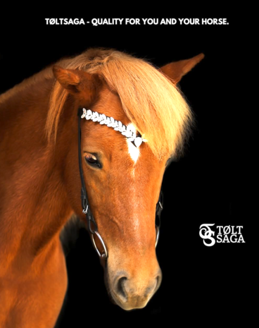 Tolt Saga Hoofdstel Silfur