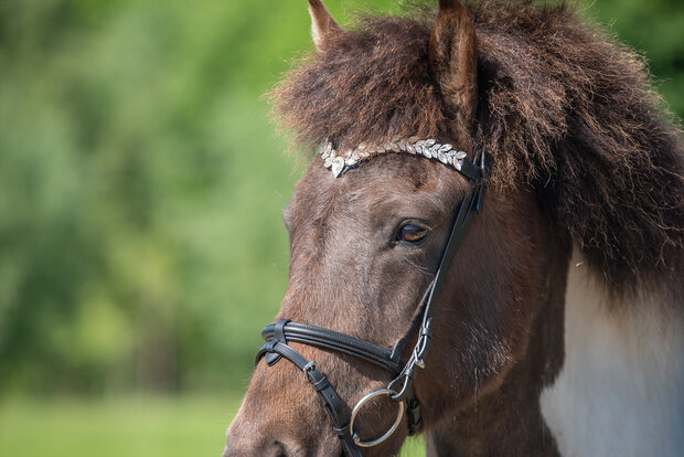 Tolt Saga Hoofdstel Silfur