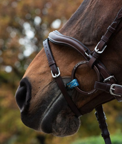 Acavallo Jumpe Alupro Snaffle Bit