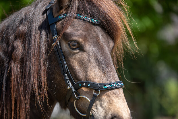 Tolt Saga Hoofdstel Anatomisch Sk&oacute;gar
