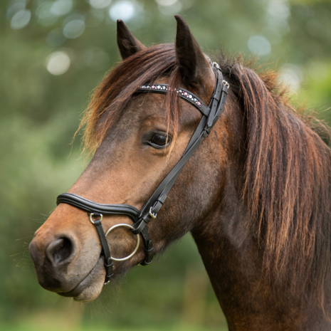 Tolt Saga Mix 'n Match Pink Diamond Kopstuk