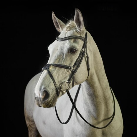 GFS Hoofdstel Monarch Grackle met Mexicaanse Neusriem en Rubber Grip Teugels