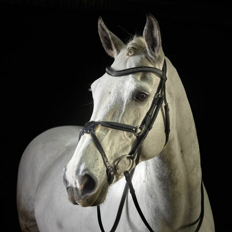 GFS Hoofdstel Monarch Grackle met Mexicaanse Neusriem en Rubber Grip Teugels