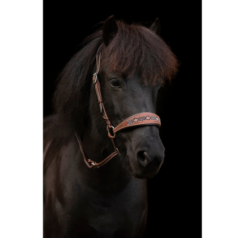 Kifrahorse Zarenza Kingekruist Hoofdstel &ndash; Dark Chestnut