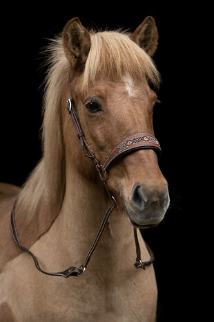 Kifrahorse Zarenza Kingekruist Hoofdstel &ndash; Dark Chestnut