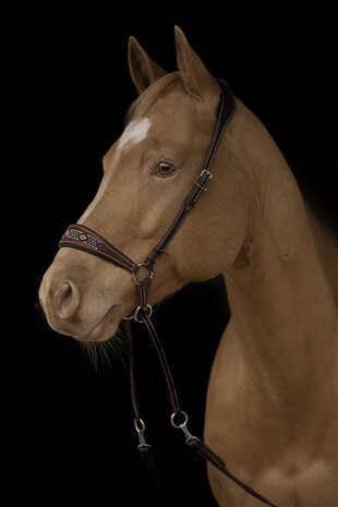 Kifrahorse Zarenza Kingekruist Hoofdstel &ndash; Dark Chestnut