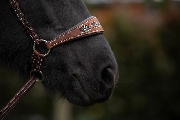 Kifrahorse Zarenza Kingekruist Hoofdstel &ndash; Dark Chestnut
