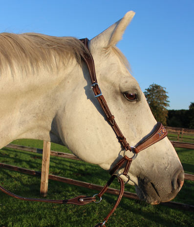 Kifrahorse Zarenza Kingekruist Hoofdstel &ndash; Dark Chestnut