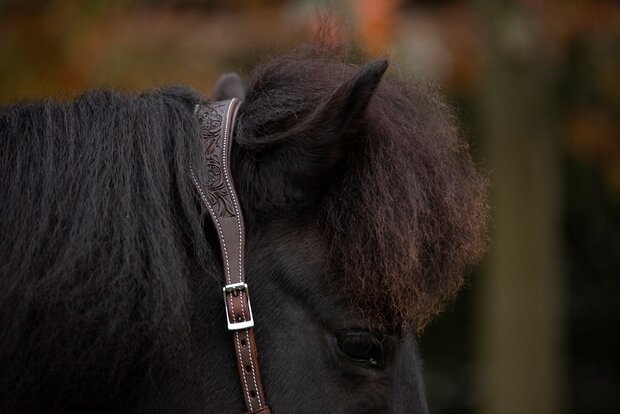 Kifrahorse Zarenza Kingekruist Hoofdstel &ndash; Dark Chestnut