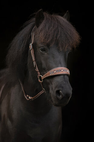 Kifrahorse Zarenza Kingekruist Hoofdstel &ndash; Dark Chestnut